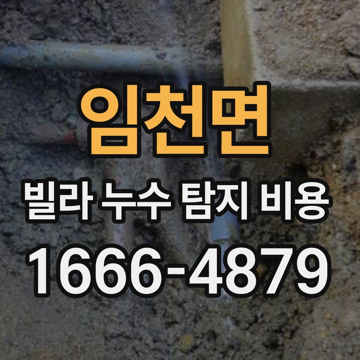 임천면 빌라 누수 탐지 비용