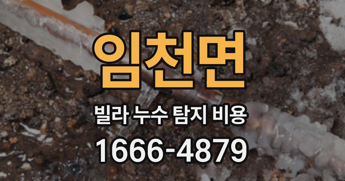 임천면 빌라 누수 탐지 비용