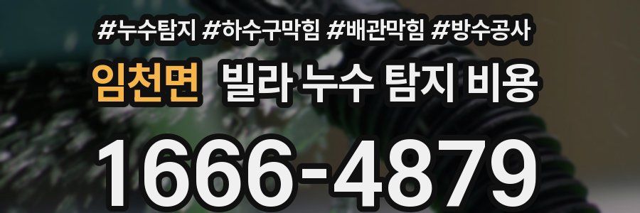 임천면 빌라 누수 탐지 비용