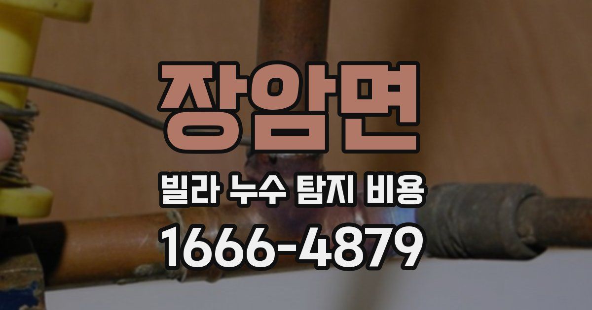 장암면 빌라 누수 탐지 비용