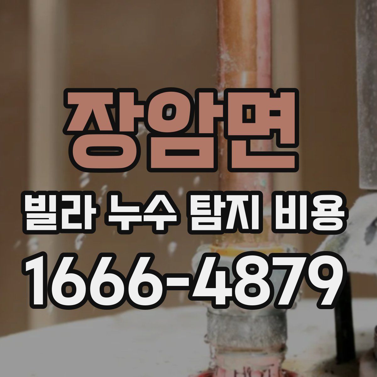 장암면 빌라 누수 탐지 비용