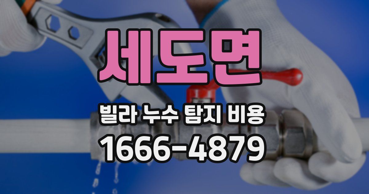세도면 빌라 누수 탐지 비용
