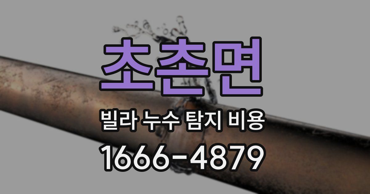 초촌면 빌라 누수 탐지 비용