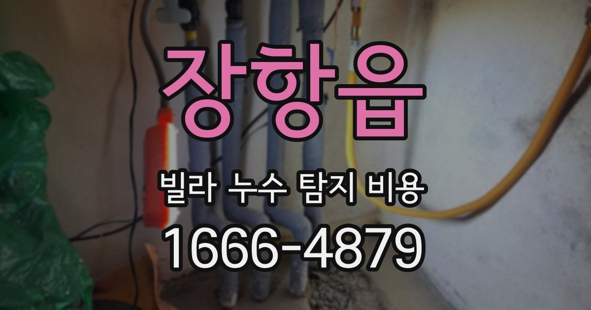 장항읍 빌라 누수 탐지 비용