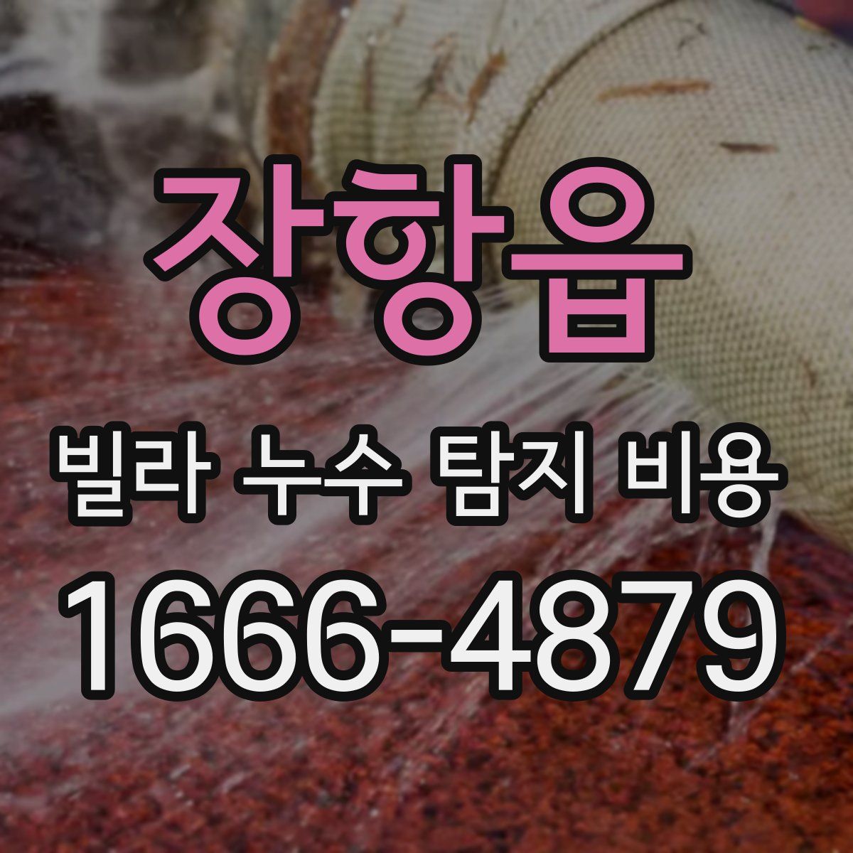 장항읍 빌라 누수 탐지 비용