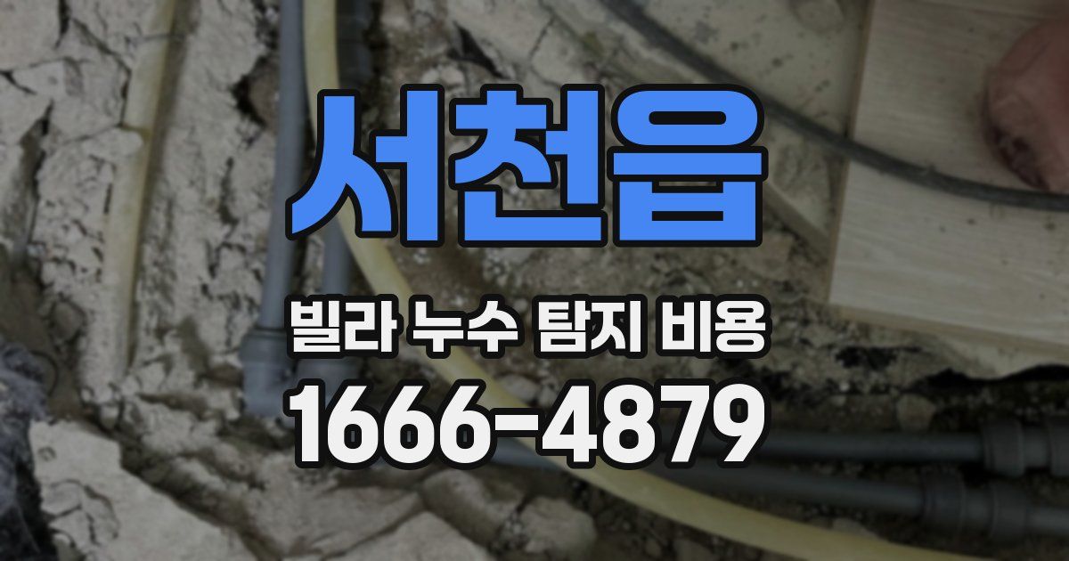 서천읍 빌라 누수 탐지 비용