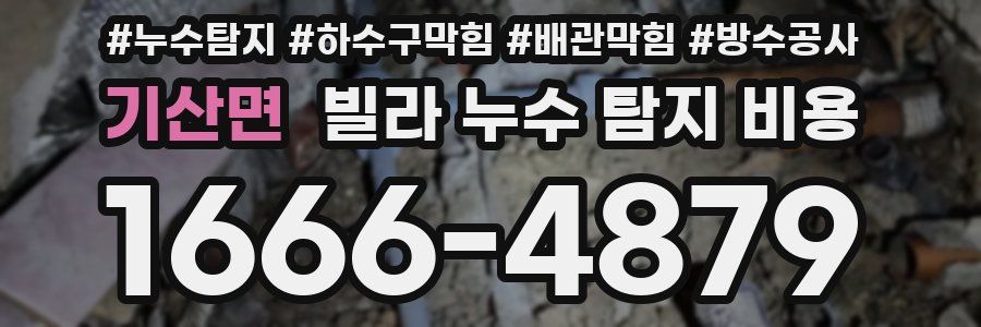 기산면 빌라 누수 탐지 비용