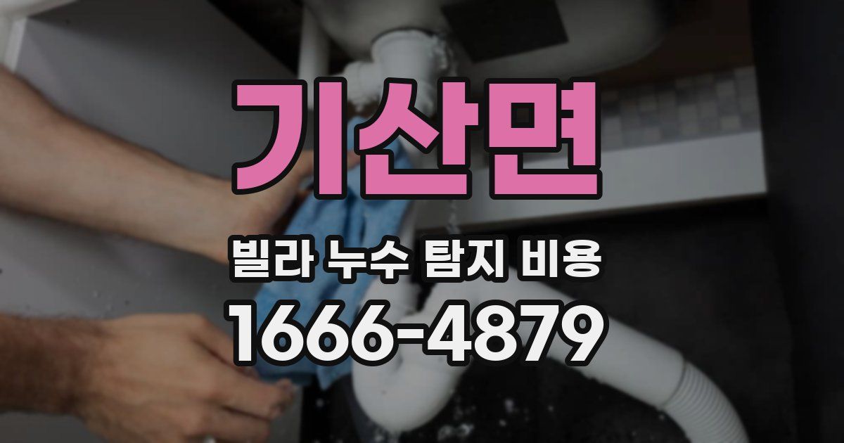 기산면 빌라 누수 탐지 비용