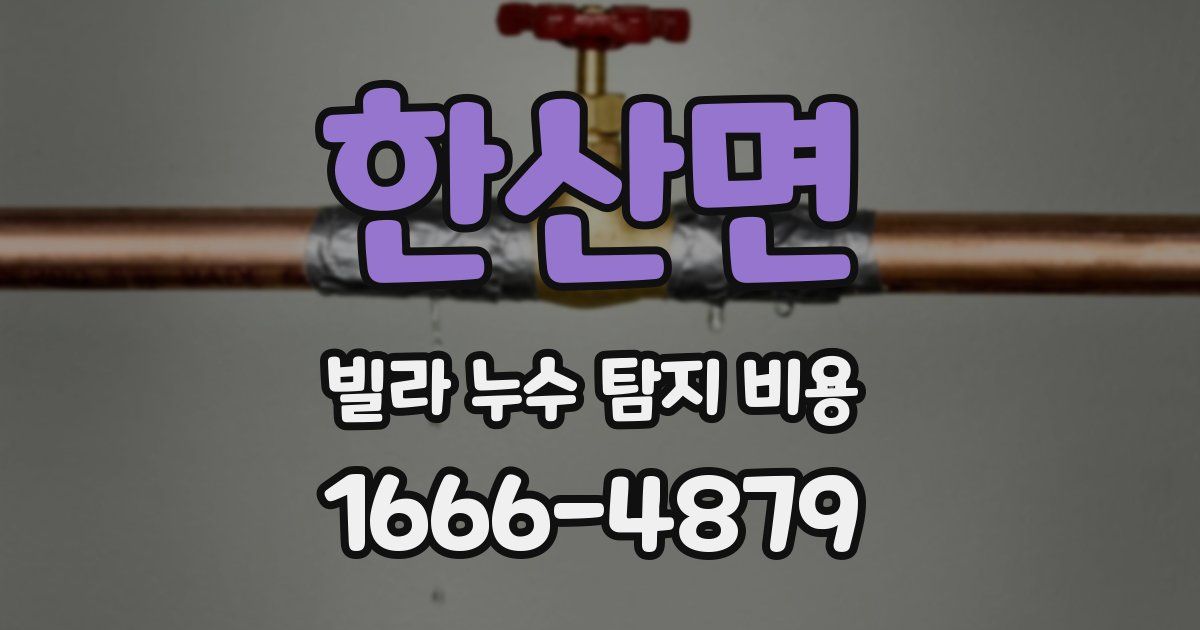 한산면 빌라 누수 탐지 비용