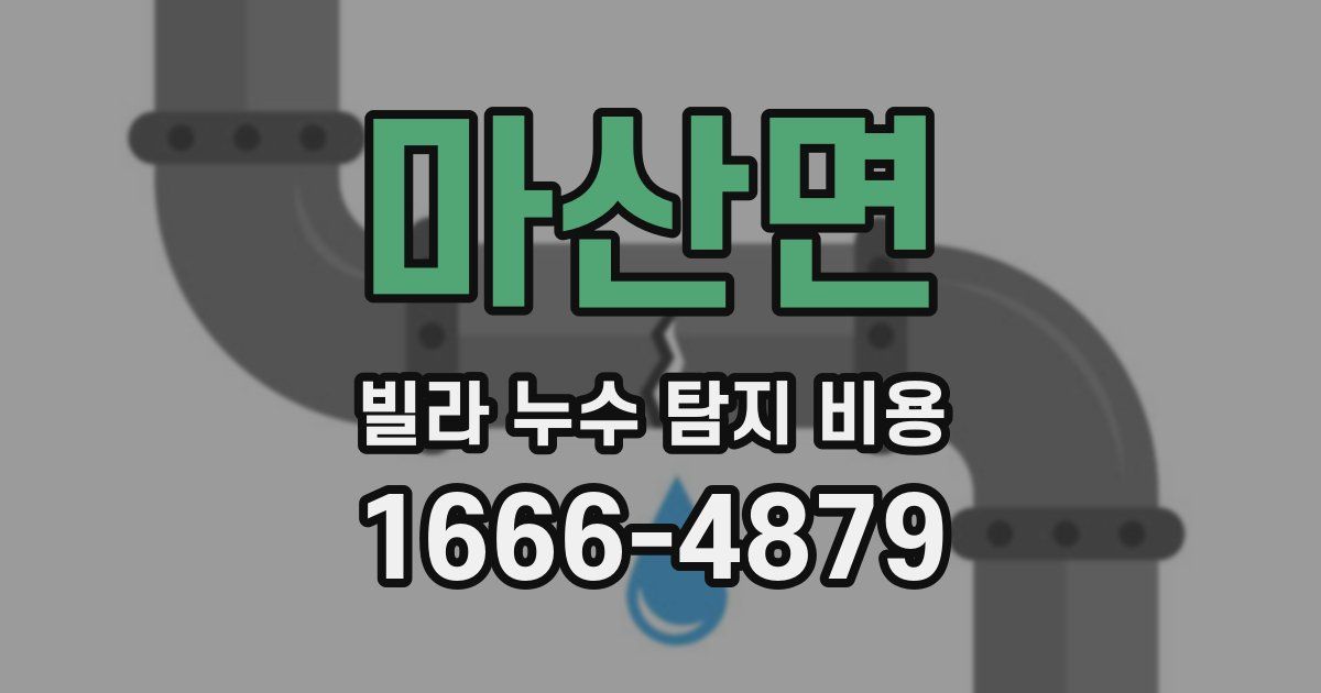 마산면 빌라 누수 탐지 비용