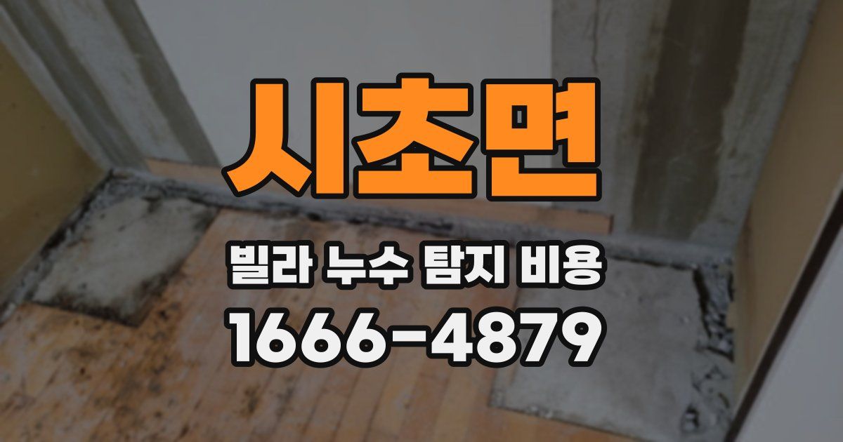 시초면 빌라 누수 탐지 비용