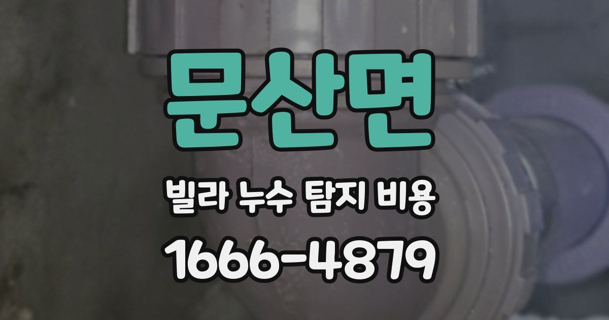 문산면 빌라 누수 탐지 비용