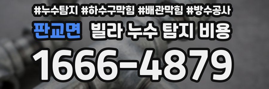 판교면 빌라 누수 탐지 비용