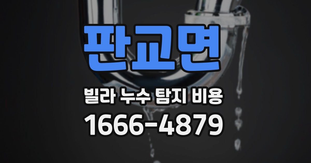 판교면 빌라 누수 탐지 비용