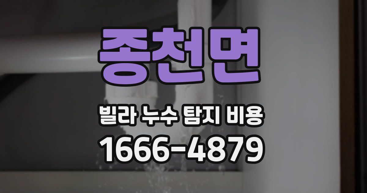 종천면 빌라 누수 탐지 비용