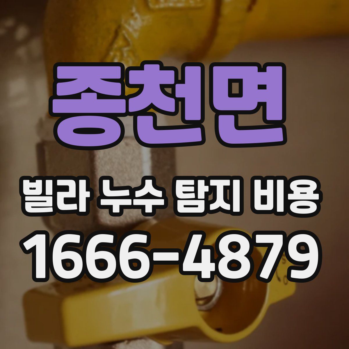 종천면 빌라 누수 탐지 비용