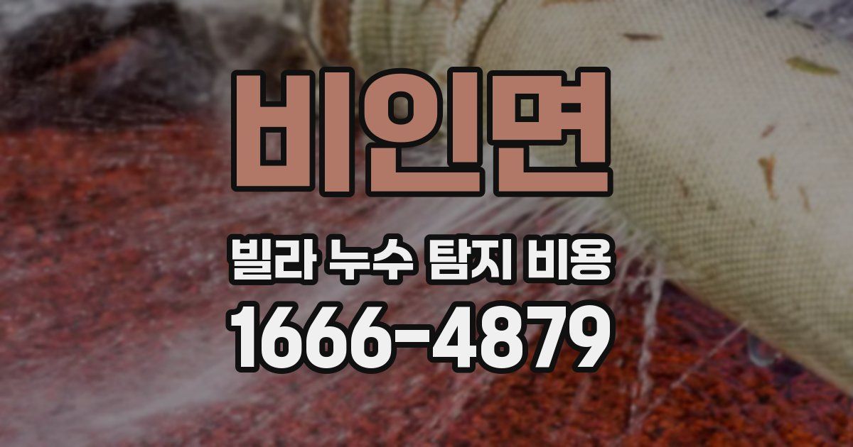 비인면 빌라 누수 탐지 비용