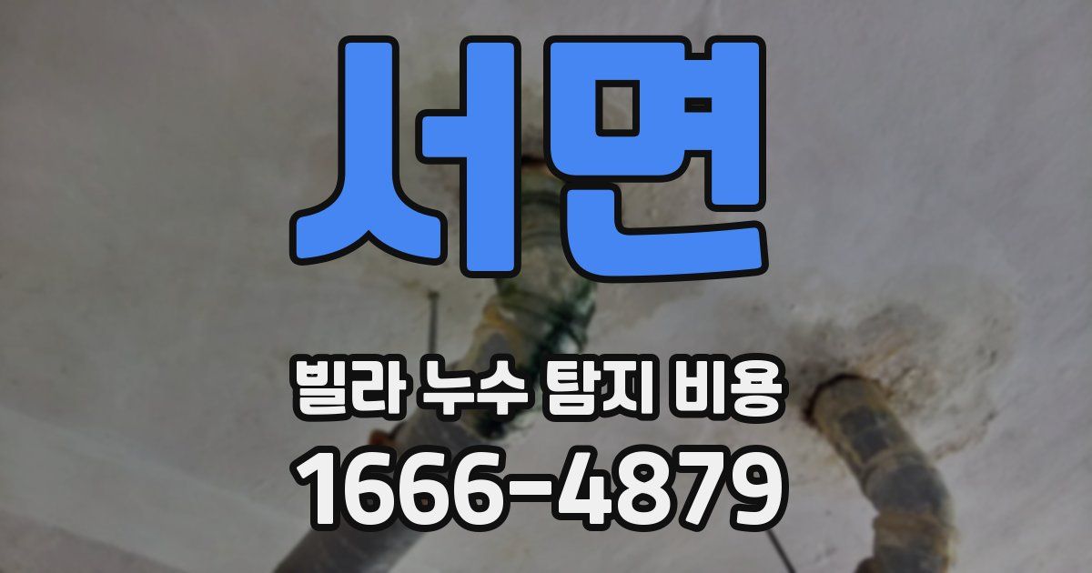 서면 빌라 누수 탐지 비용