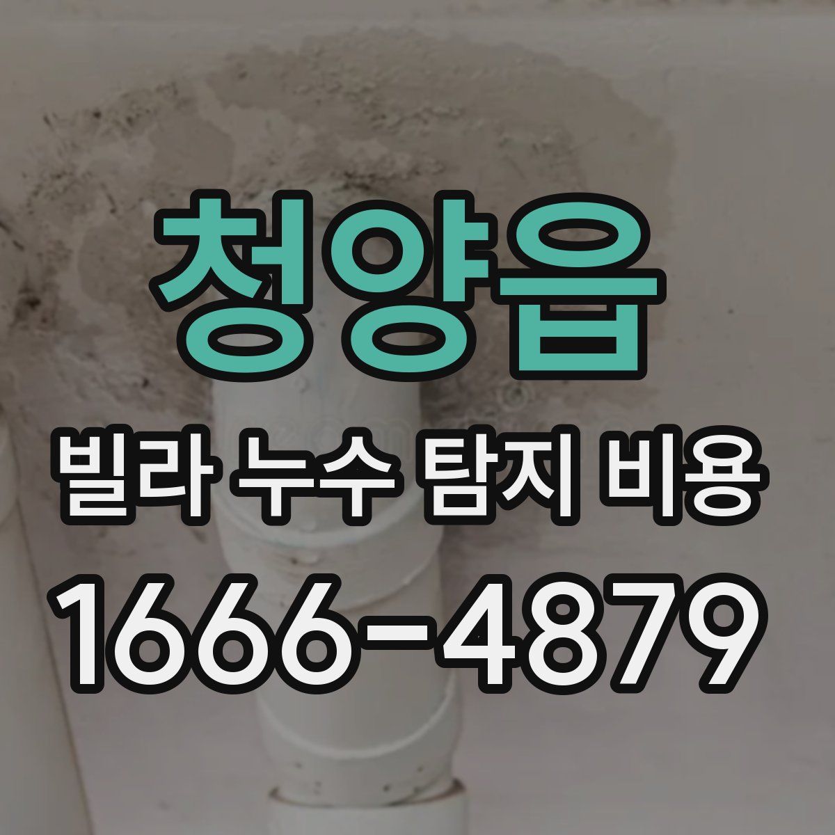 청양읍 빌라 누수 탐지 비용