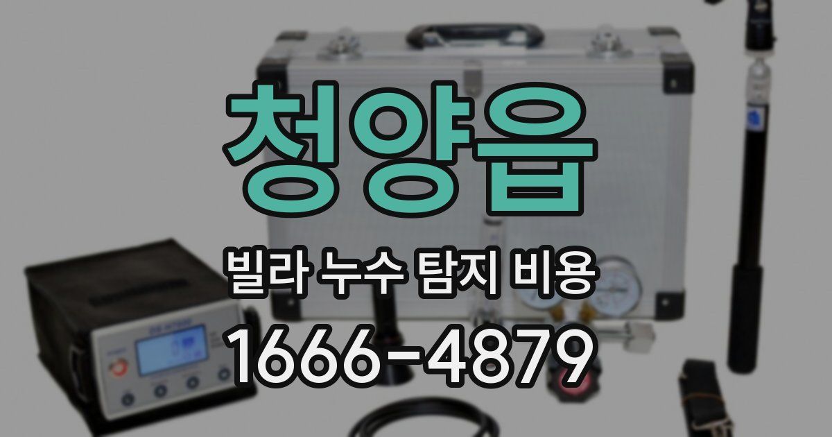청양읍 빌라 누수 탐지 비용
