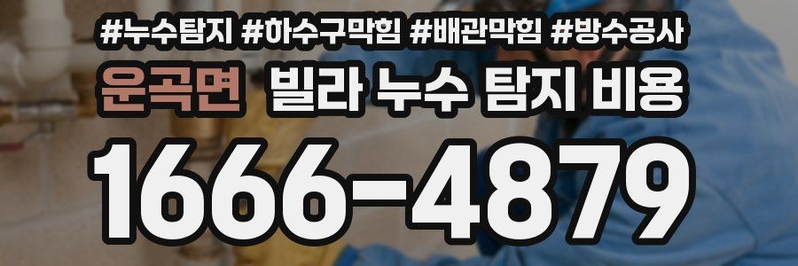 운곡면 빌라 누수 탐지 비용
