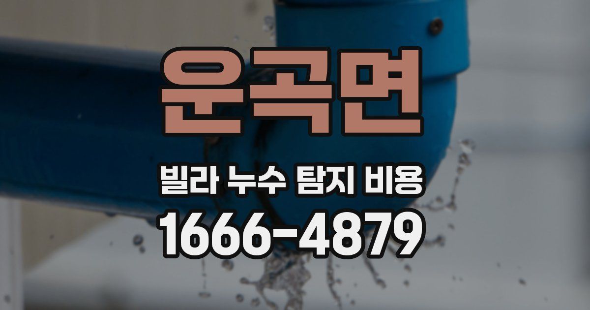 운곡면 빌라 누수 탐지 비용