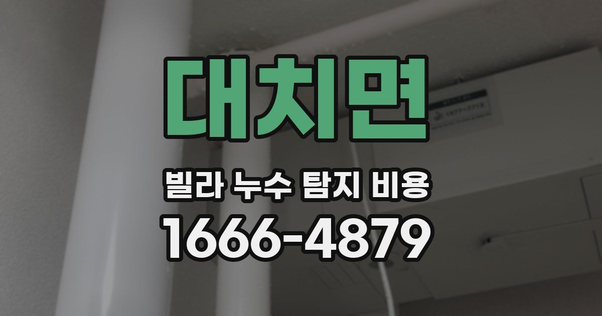 대치면 빌라 누수 탐지 비용
