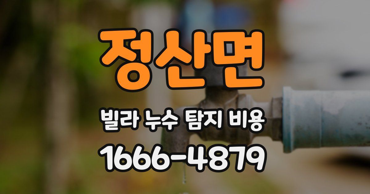 정산면 빌라 누수 탐지 비용