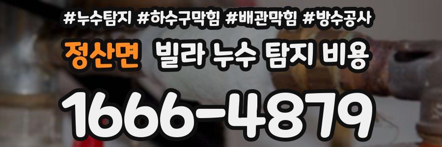 정산면 빌라 누수 탐지 비용