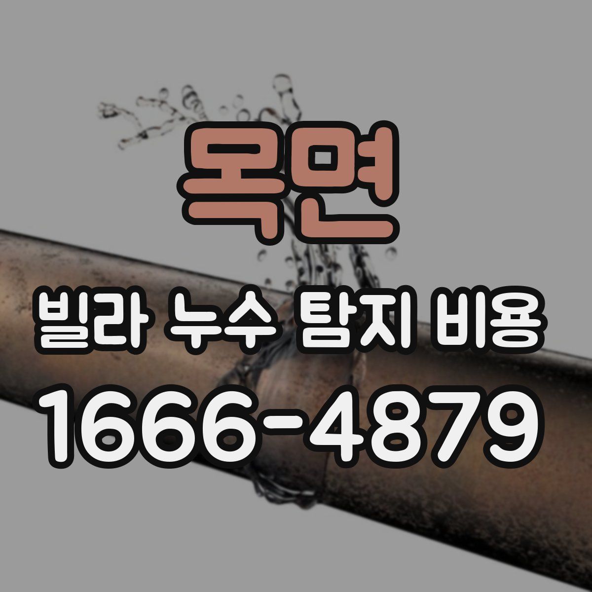 목면 빌라 누수 탐지 비용