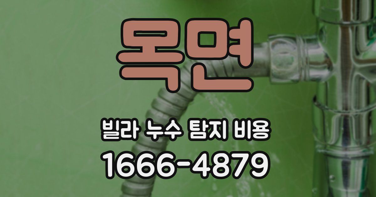목면 빌라 누수 탐지 비용