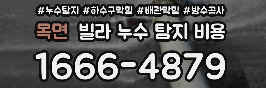 목면 빌라 누수 탐지 비용