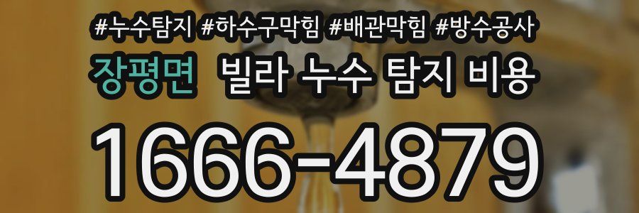 장평면 빌라 누수 탐지 비용