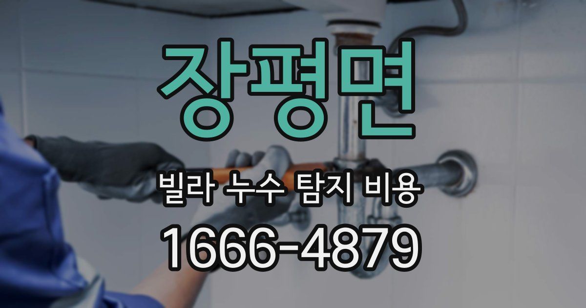 장평면 빌라 누수 탐지 비용