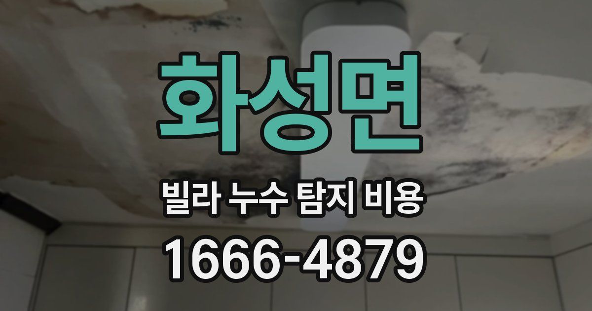 화성면 빌라 누수 탐지 비용