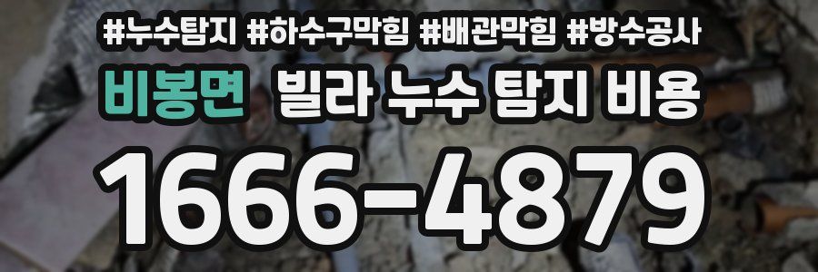 비봉면 빌라 누수 탐지 비용