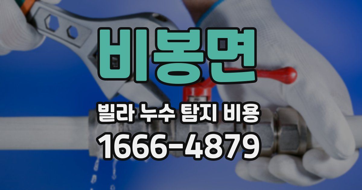 비봉면 빌라 누수 탐지 비용