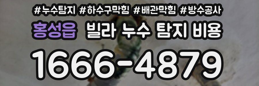 홍성읍 빌라 누수 탐지 비용