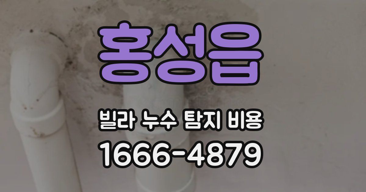 홍성읍 빌라 누수 탐지 비용