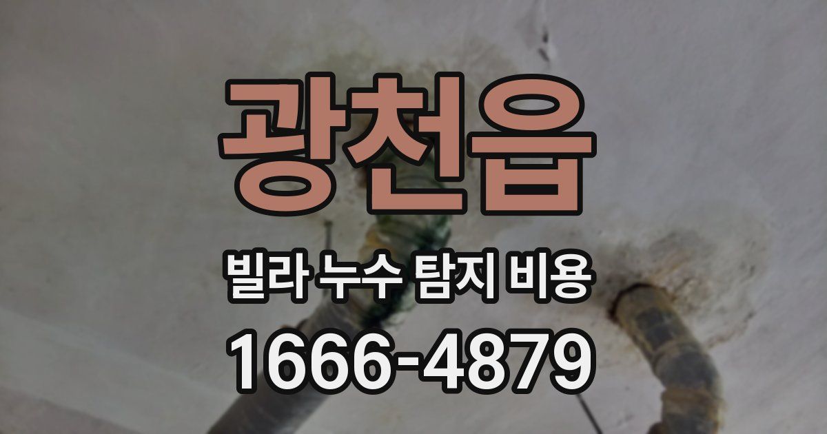 광천읍 빌라 누수 탐지 비용