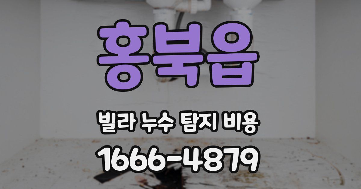 홍북읍 빌라 누수 탐지 비용