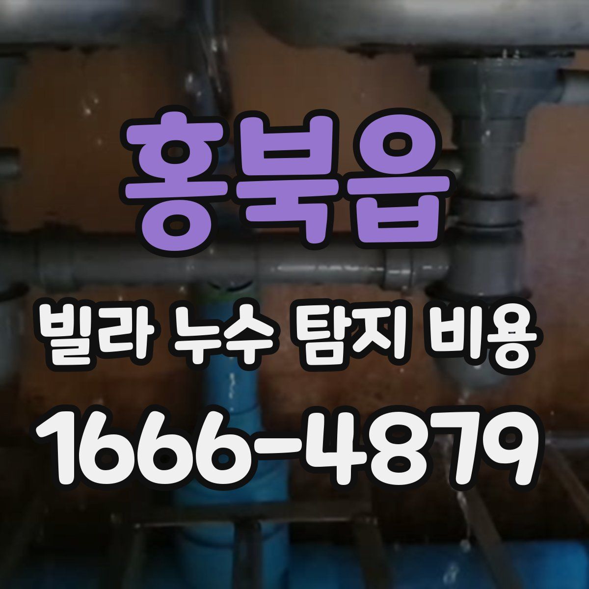 홍북읍 빌라 누수 탐지 비용
