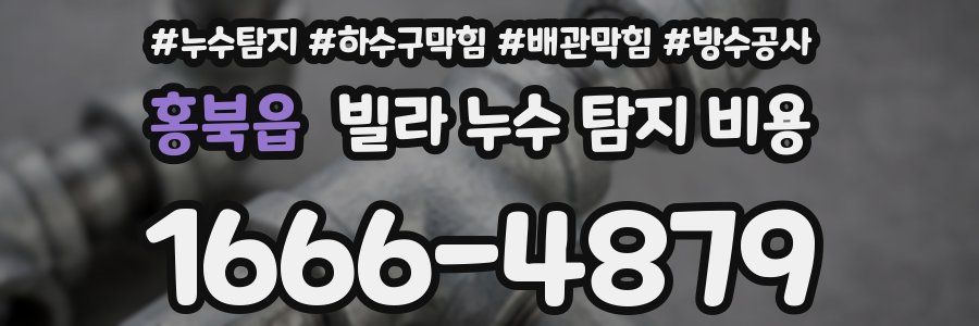 홍북읍 빌라 누수 탐지 비용