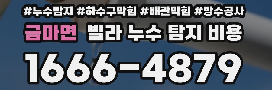 금마면 빌라 누수 탐지 비용