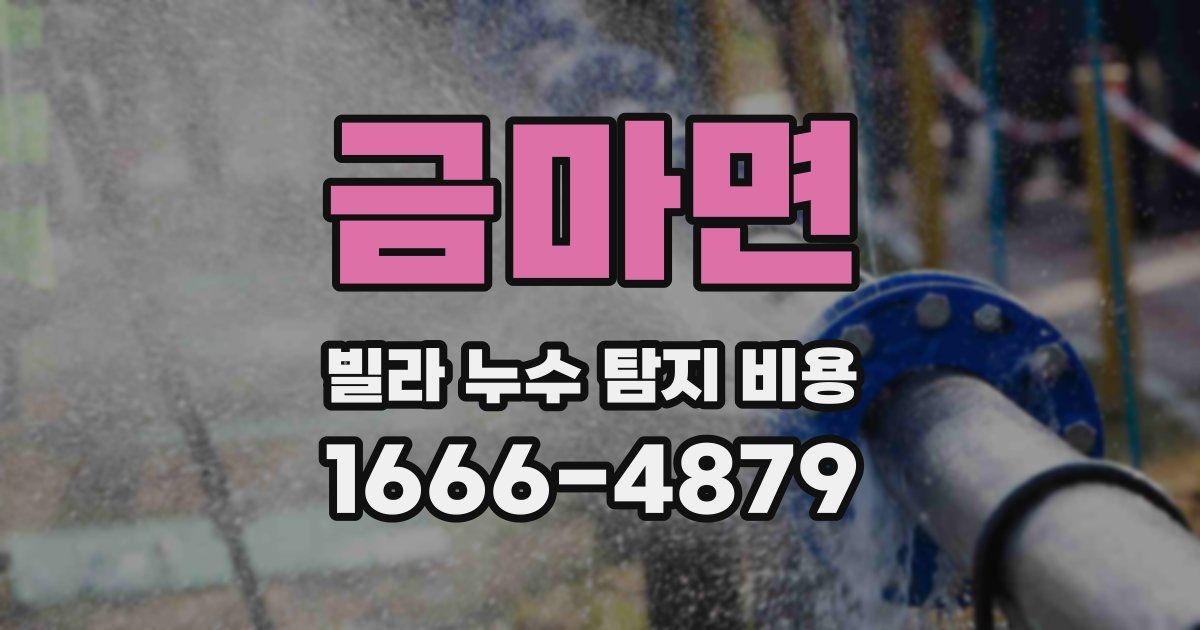 금마면 빌라 누수 탐지 비용