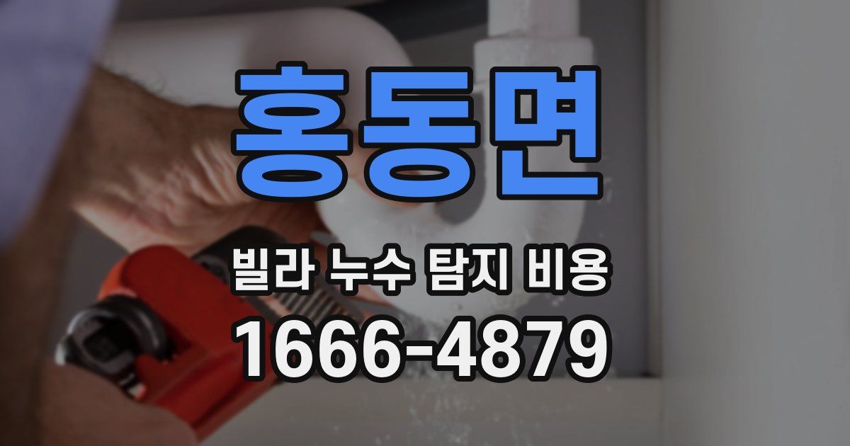 홍동면 빌라 누수 탐지 비용