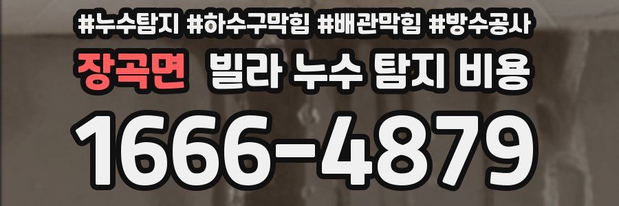 장곡면 빌라 누수 탐지 비용