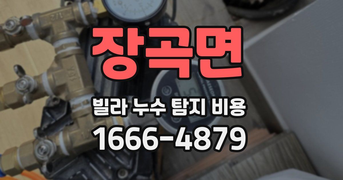 장곡면 빌라 누수 탐지 비용