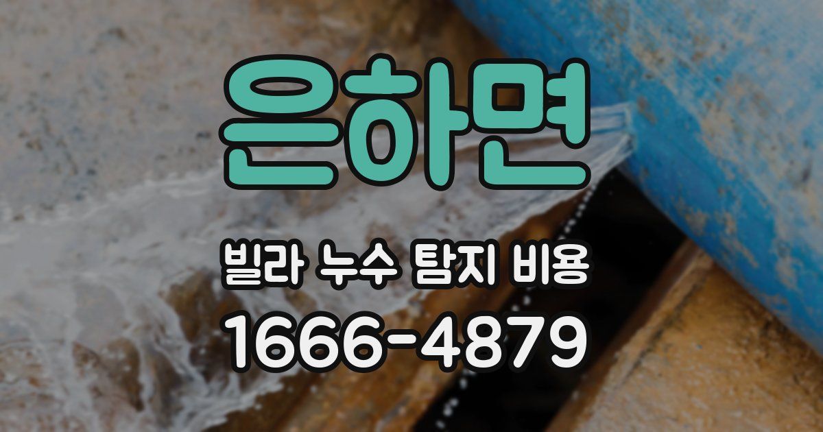 은하면 빌라 누수 탐지 비용