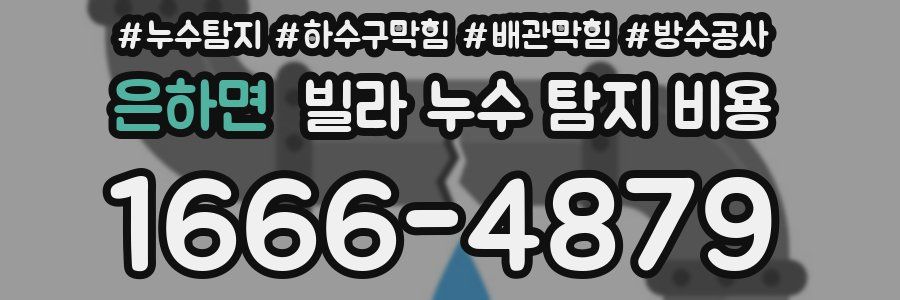 은하면 빌라 누수 탐지 비용